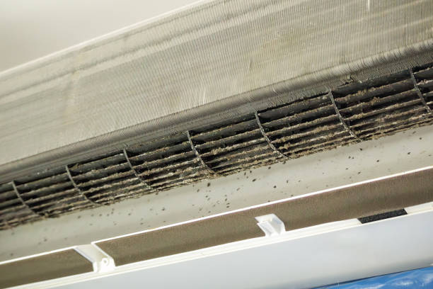 Home Air Vent Cleaning in Mackinaw, IL